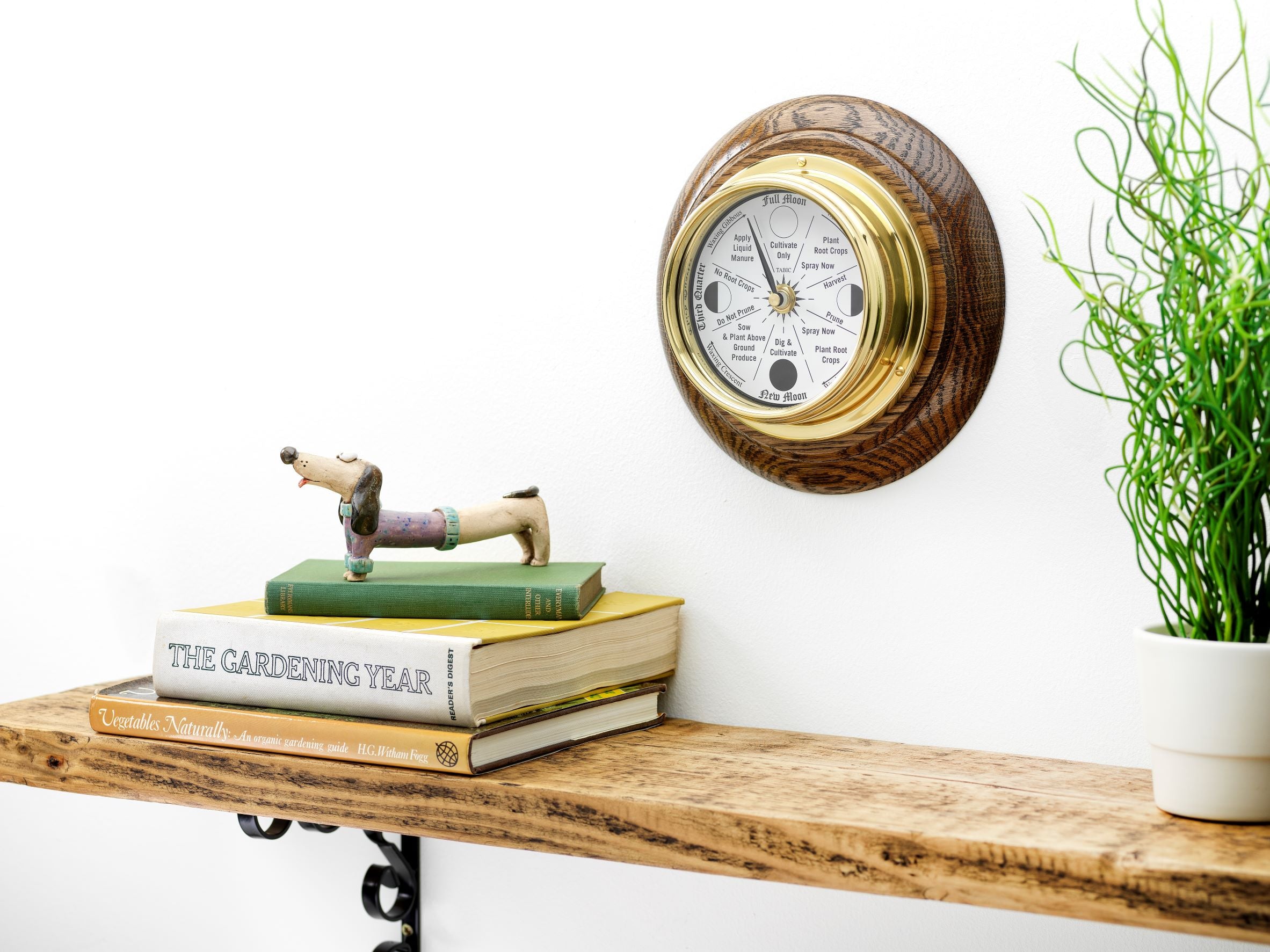 Lunar Gardening: Cultivating Abundance Through Lunar Power