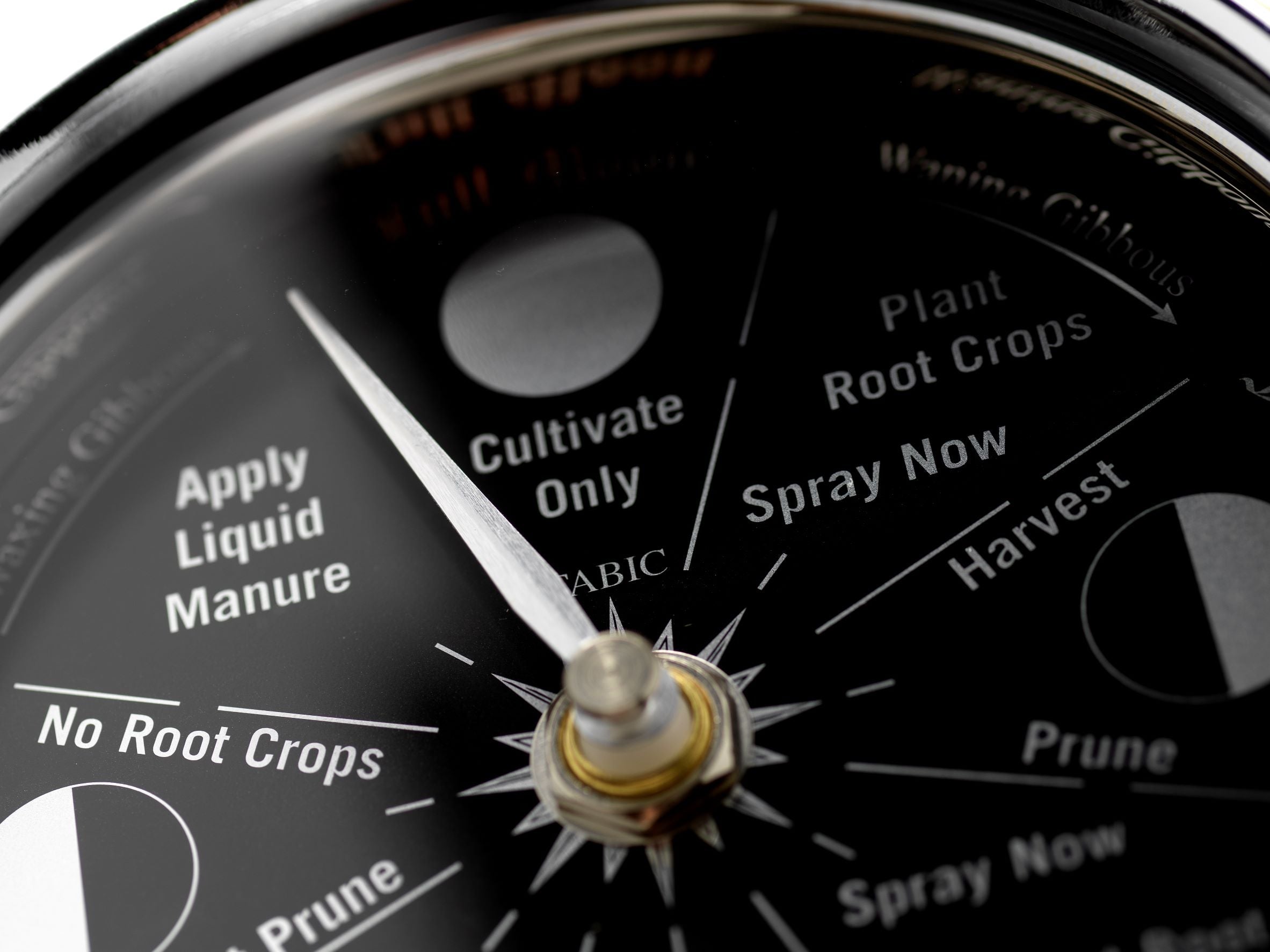 Prestige Chrome Moon Gardening Clock and English Light Oak Wall Mount