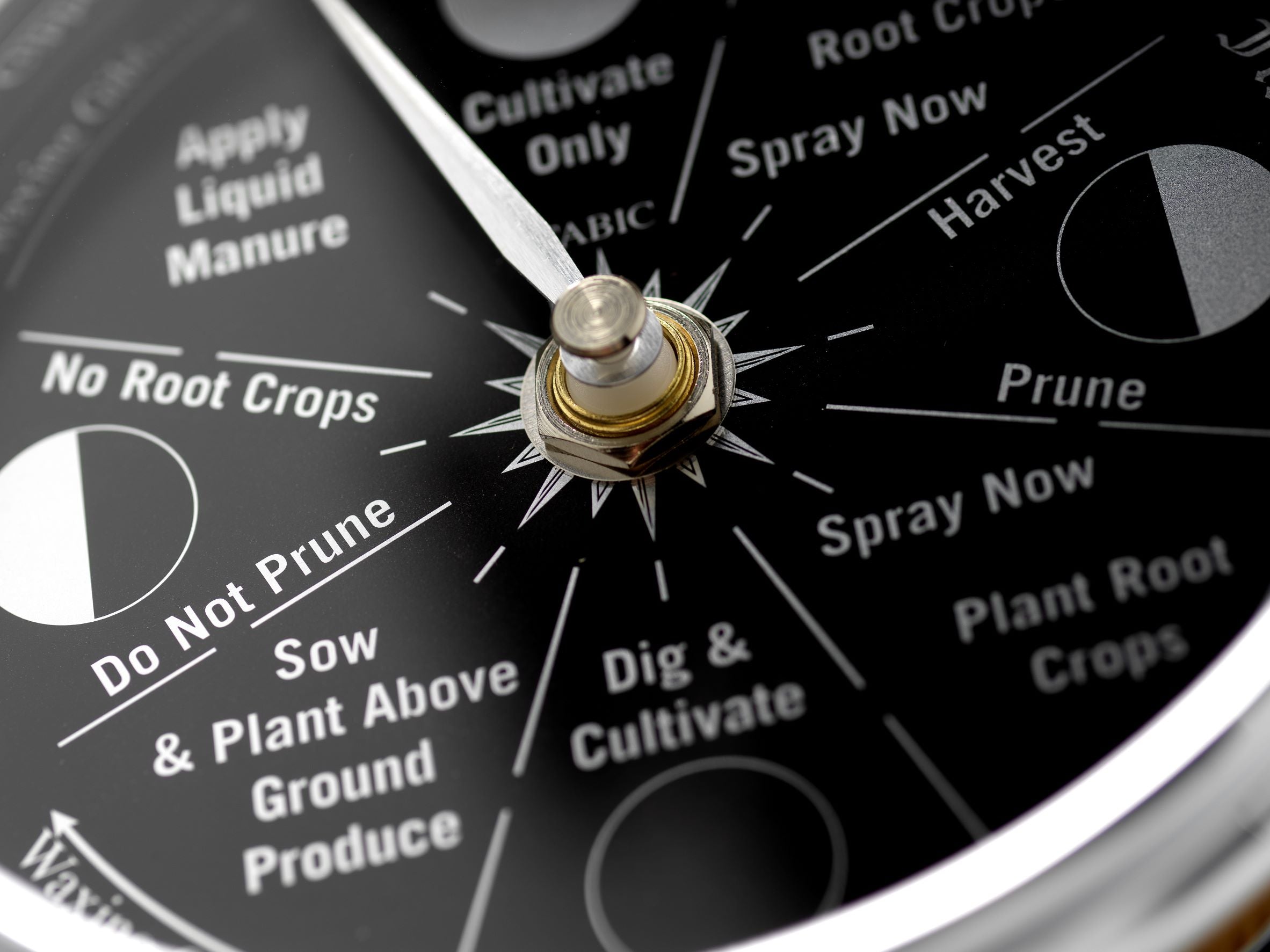 Prestige Chrome Moon Gardening Clock and English Light Oak Wall Mount