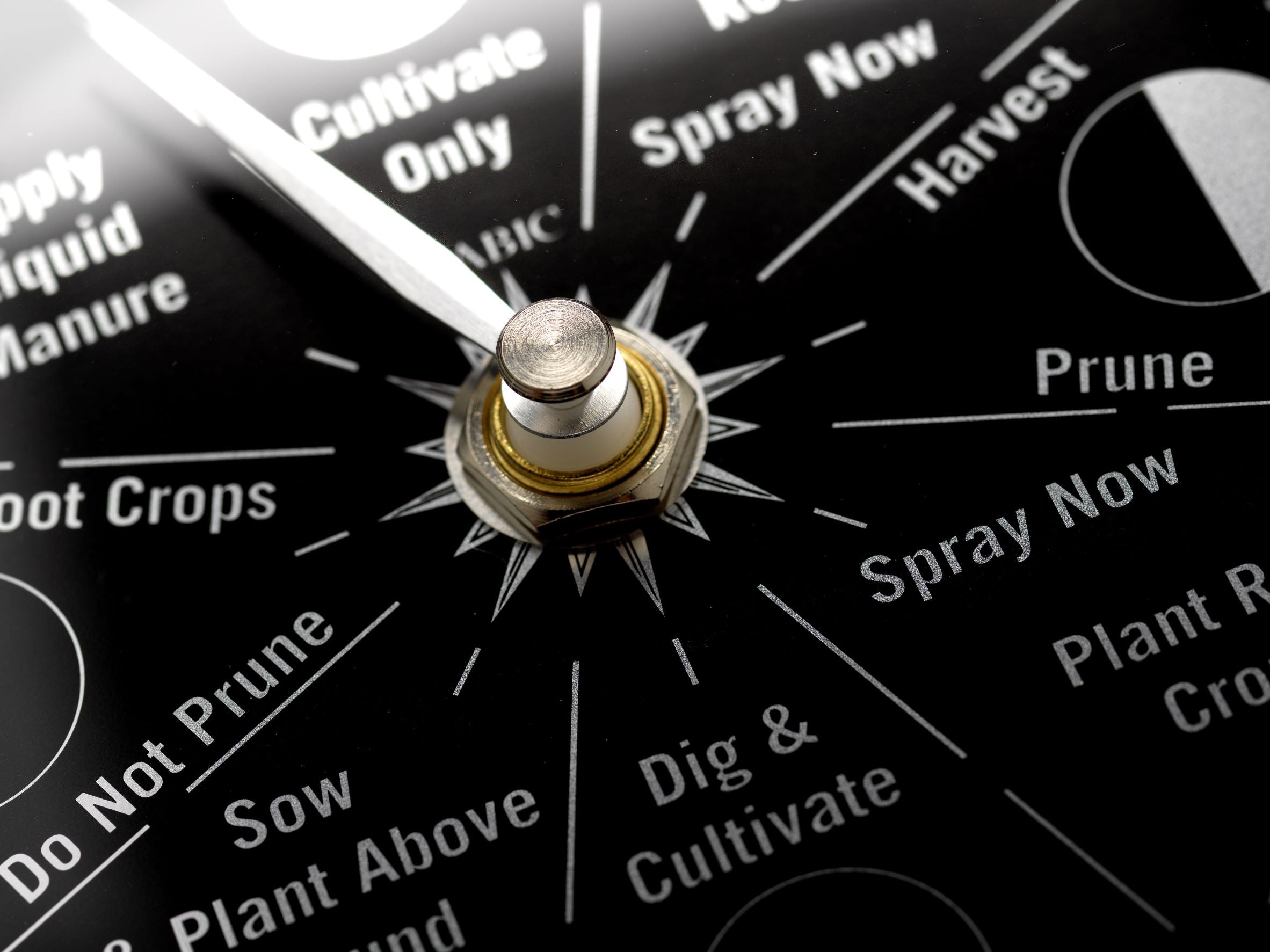 Prestige Chrome Moon Gardening Clock